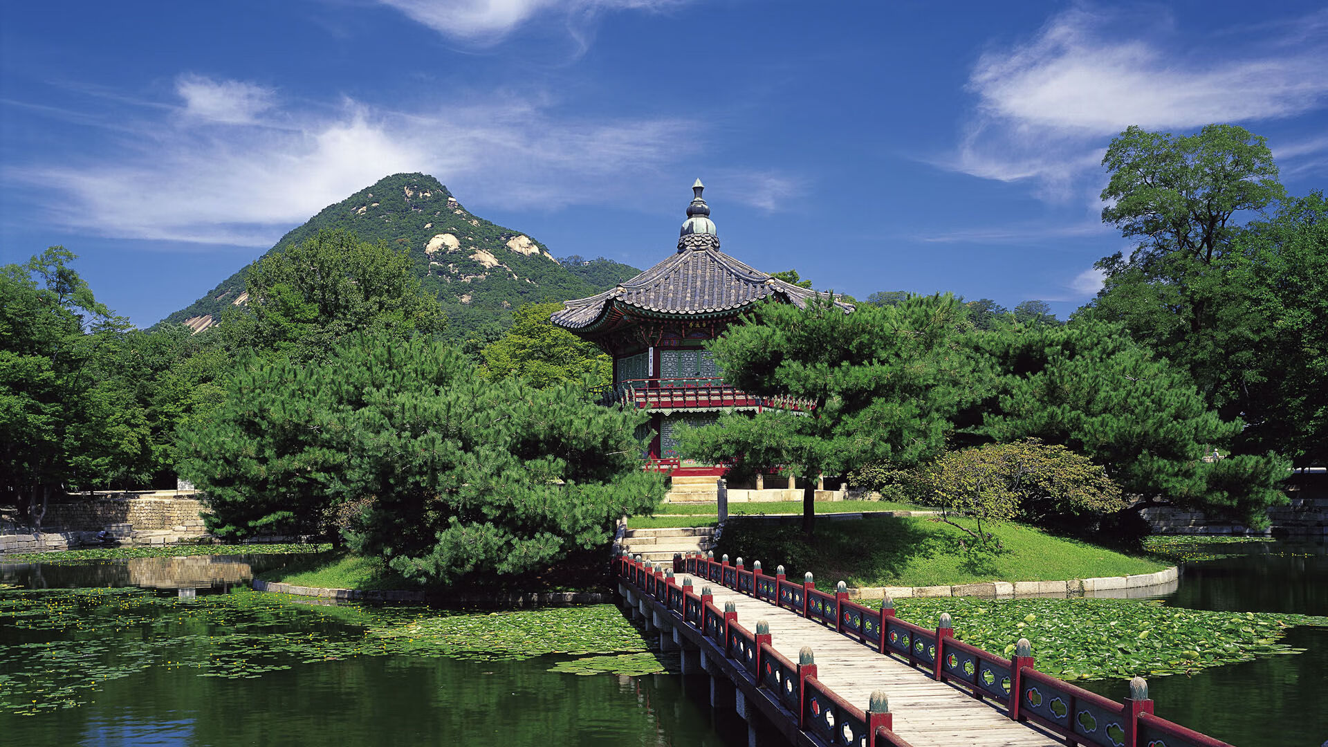 NBA球队赛季表现总结报告,nba球队赛季表现总结报告