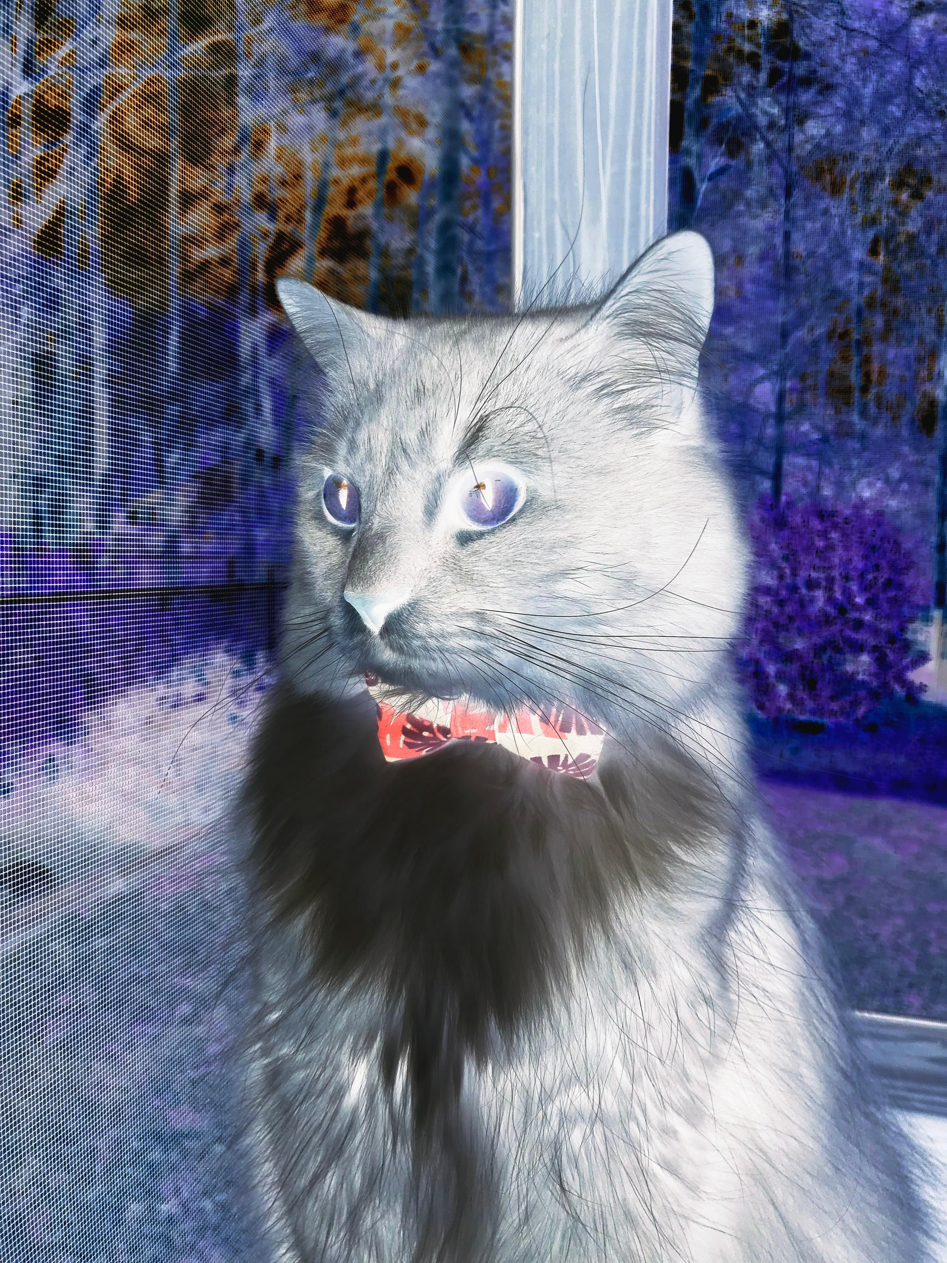 NBA球队进攻效率提升，nba进攻效率第一的球队