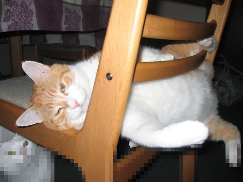 女子篮球训练强化对抗能力提高比赛竞争力,女子篮球训练计划项目