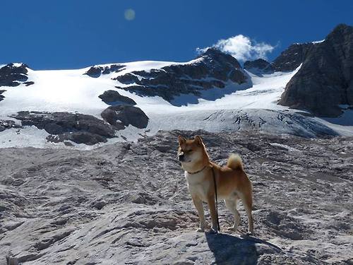 布克关键时刻命中三分稳定太阳领先优势,布克生涯命中率