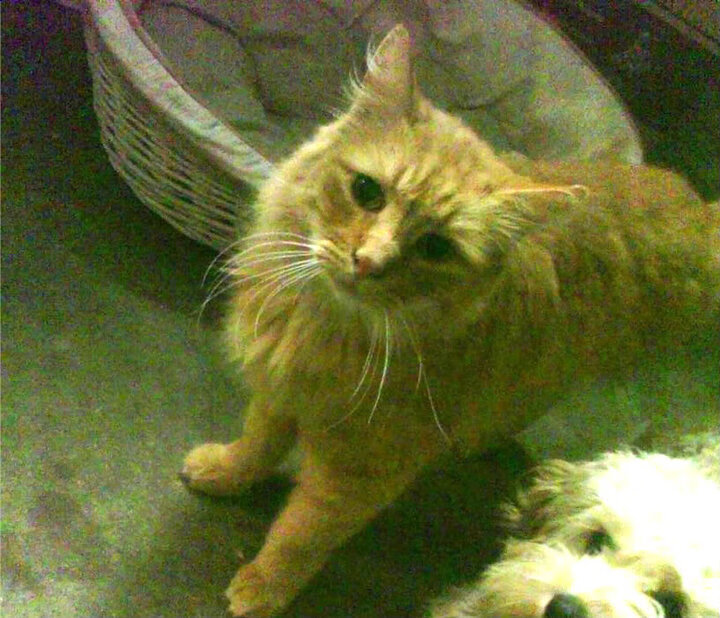 开云体育-斯洛伐克女篮在欧洲预赛中持续精进，迈步打入奥运，斯洛伐克欧洲杯预选赛比赛结果