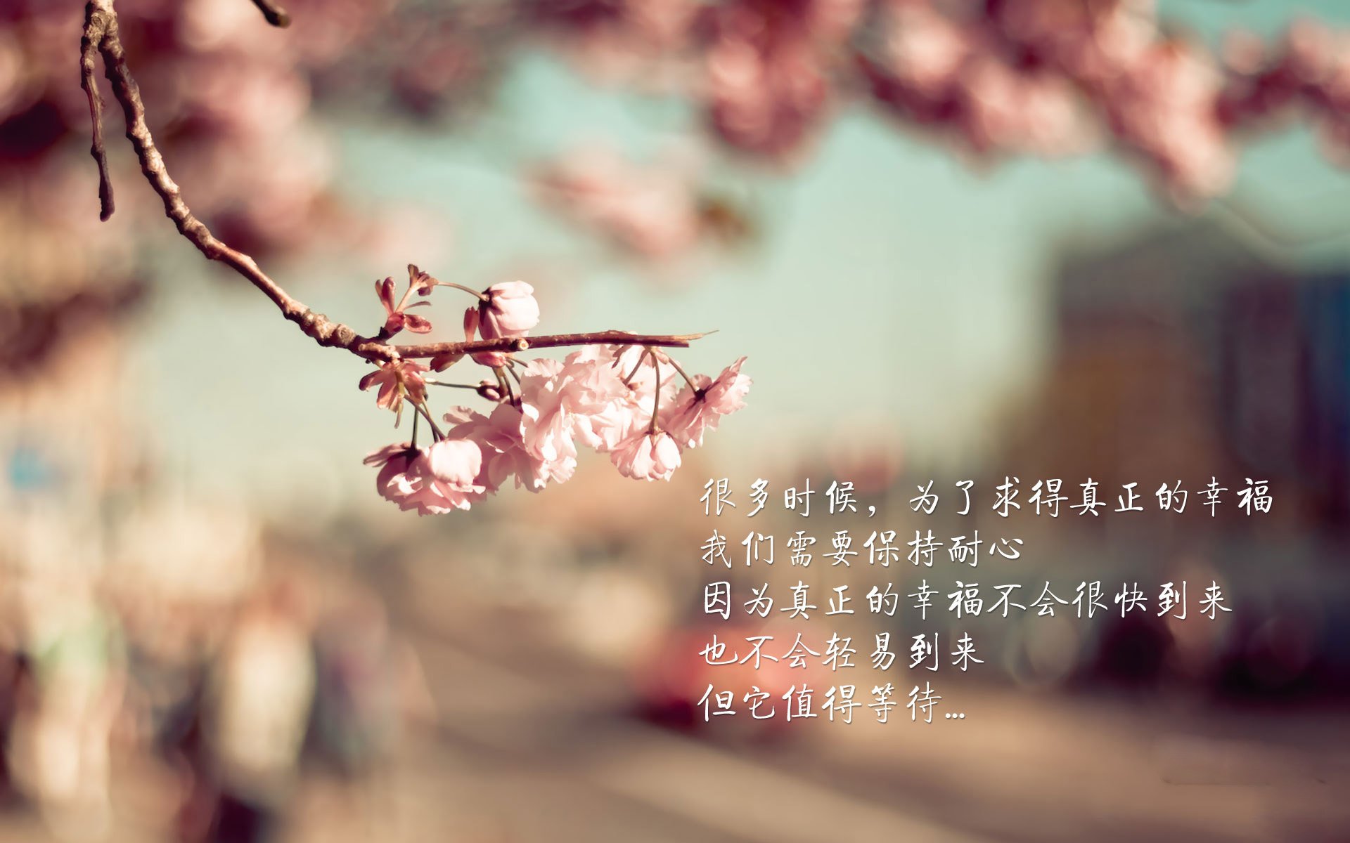 kaiyun网址-王宗源展现稳定发挥锁定好成绩，王宗源领奖