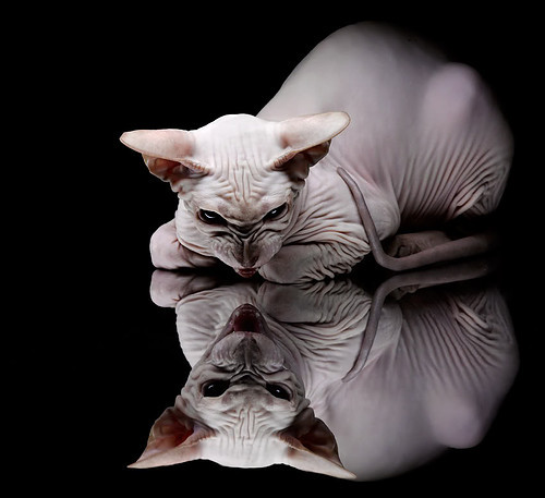 裁判员国际交流提升判罚一致性,比赛公平性加强,裁判员对比赛的重要性