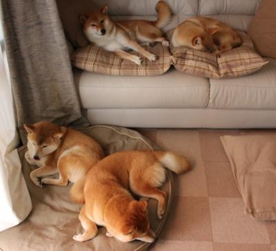 西甲传奇再续:经典瞬间永不褪色!,西甲传奇前锋